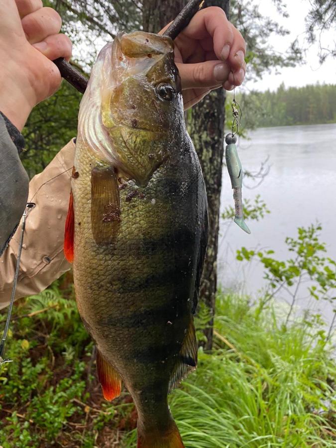 فيلا Saimaa Raikala Vuoriniemi المظهر الخارجي الصورة