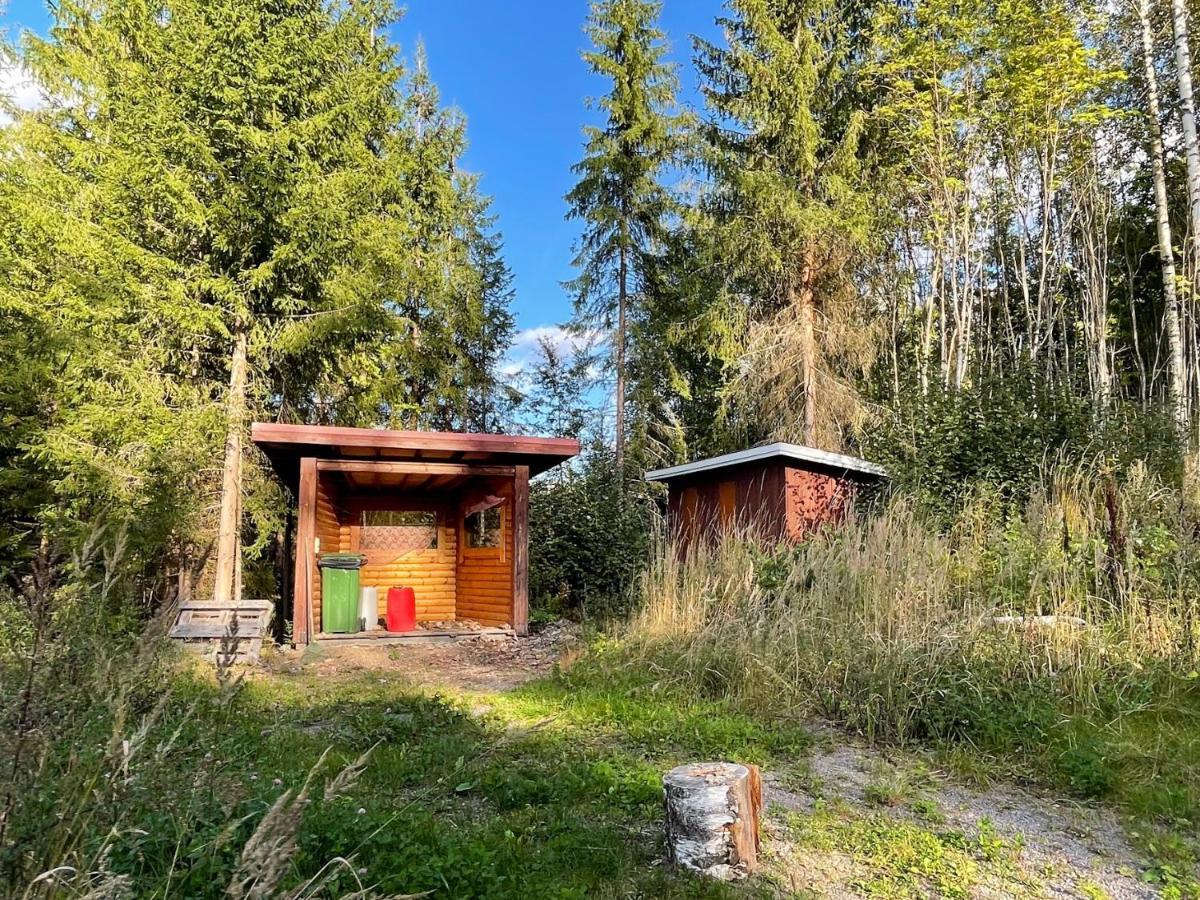 فيلا Saimaa Raikala Vuoriniemi المظهر الخارجي الصورة