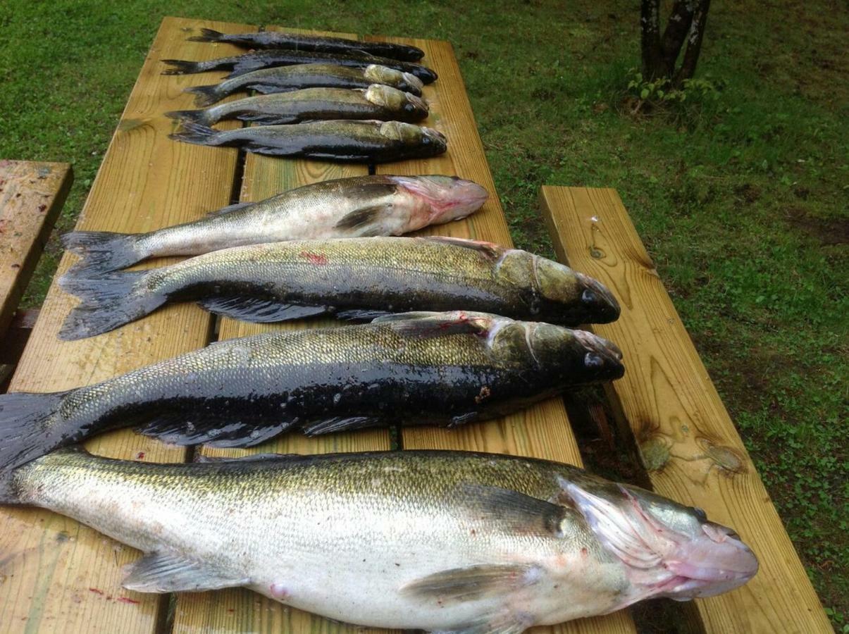 فيلا Saimaa Raikala Vuoriniemi المظهر الخارجي الصورة